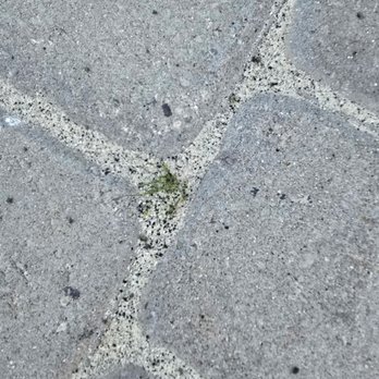 Turf Monsters - Landscaping Near Me - Phoenix, Arizona