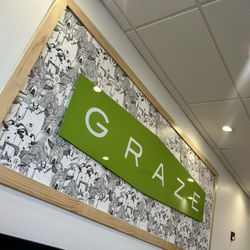 Graze - Catching Mural