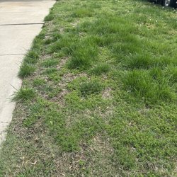 Springfield Lawn Care - This is not ok