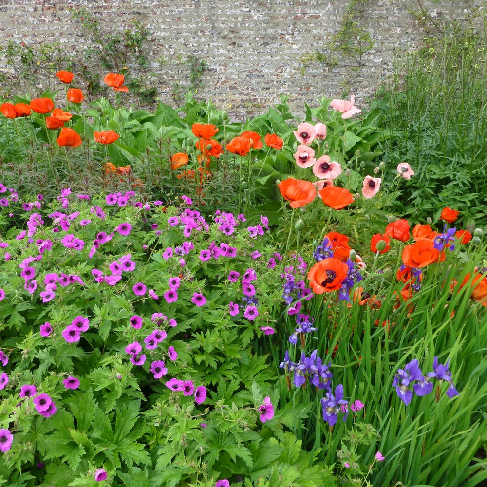 Raby Castle - Poppies at Raby Castle - Landmarks & Historical Buildings Near Me - Darlington, DAL Raby Castle - Poppies at Raby Castle - Landmarks & Historical Buildings Near Me - Darlington, DAL