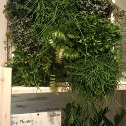Moomba Urban Gardens