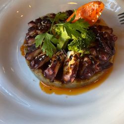 Puerta del Carmen - Octopus