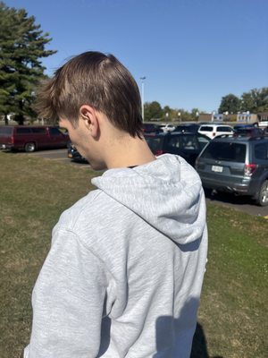 Linzey Plumbing & Heating Logo