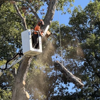 Eager Beaver Tree Service - Tree Services Near Me - Floyds Knobs, Indiana