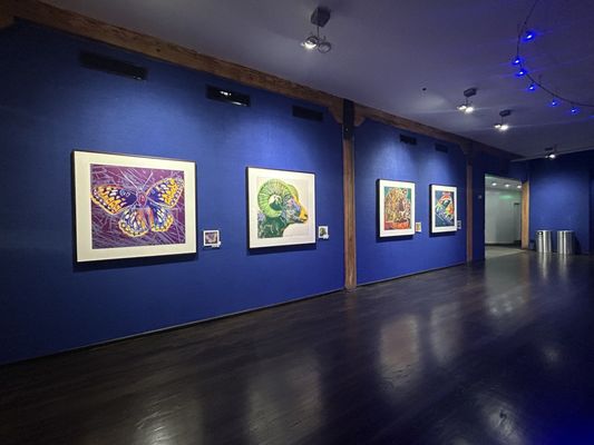 The Dallas World Aquarium by null