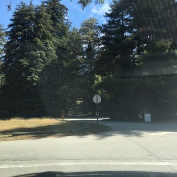 Mount Madonna County Park - Parks Near Me - Watsonville, California