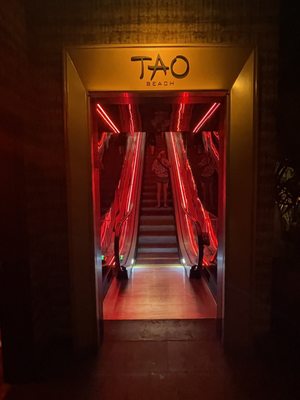 TAO Beach by null