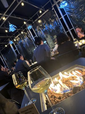 Maxwell Park by null