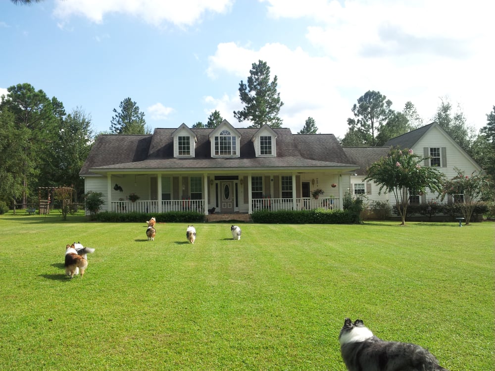 COUNTRY CUTS 11315 Turkey Roost Rd, Tallahassee, Florida Pet