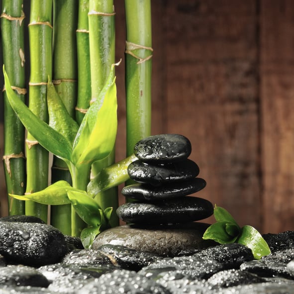 JOYCE WU ACUPUNCTURE CLINIC Updated June 2024 12 Reviews San