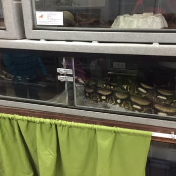 Wildlife Learning Center - Some of the reptiles inside the trailer - Zoos Near Me - Sylmar, California