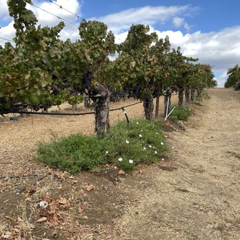 Wilson Creek Winery - Wineries Near Me - Temecula, California Wilson Creek Winery - Wineries Near Me - Temecula, California