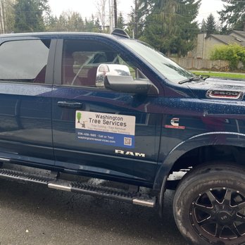 Washington Tree Services - Tree Services Near Me - Bothell, Washington Washington Tree Services - Tree Services Near Me - Bothell, Washington