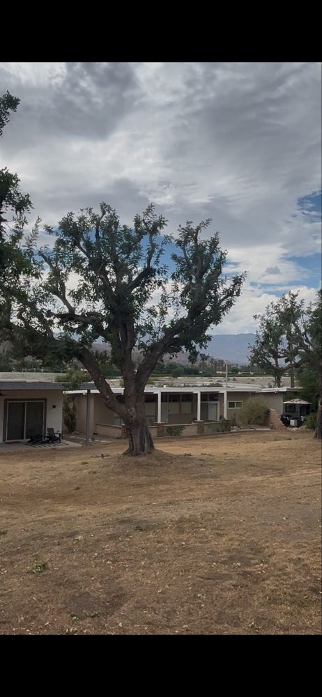 USA TREE CARE PROS - Updated May 2026 - Request a Quote - 13 Photos ...
