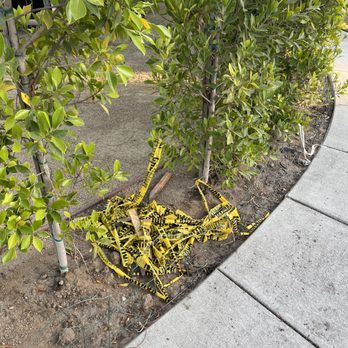 Diaz Landscaping Services - Trash left - Tree Services Near Me Diaz Landscaping Services - Trash left - Tree Services Near Me