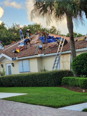 Frontera Steve Roofing Logo