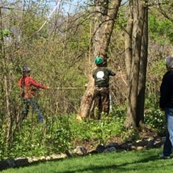 Tree Pros - Tree Services Near Me Tree Pros - Tree Services Near Me