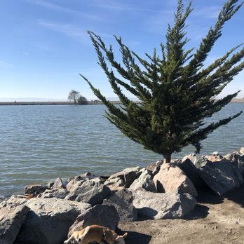 San Leandro Marina - Parks Near Me - San Leandro, California San Leandro Marina - Parks Near Me - San Leandro, California