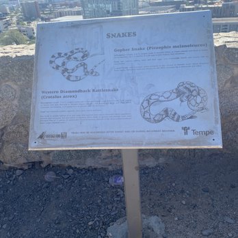 Hayden Butte Preserve - Didnt see any snakes thankfully - Parks Near Me - Tempe, Arizona