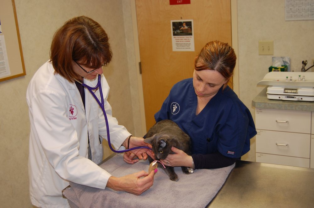 Capitaland Animal Hospital