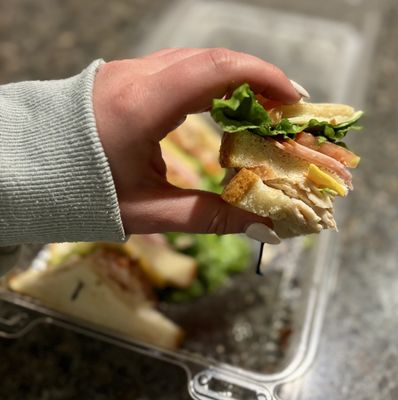 The Friendly Tavern by null