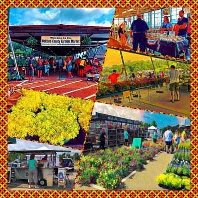 Oakland County Farmer's Market by null