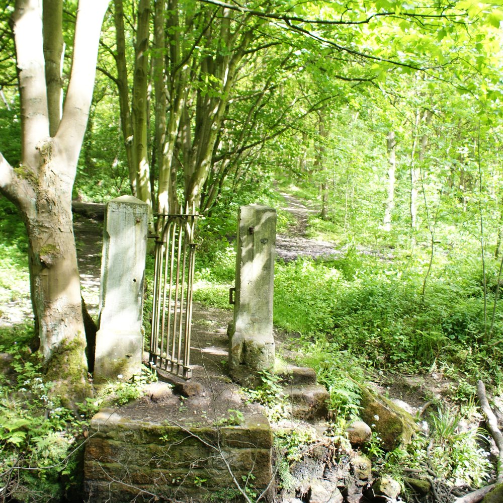 Meanwood Valley Trail - Parks Near Me - Leeds, XWY