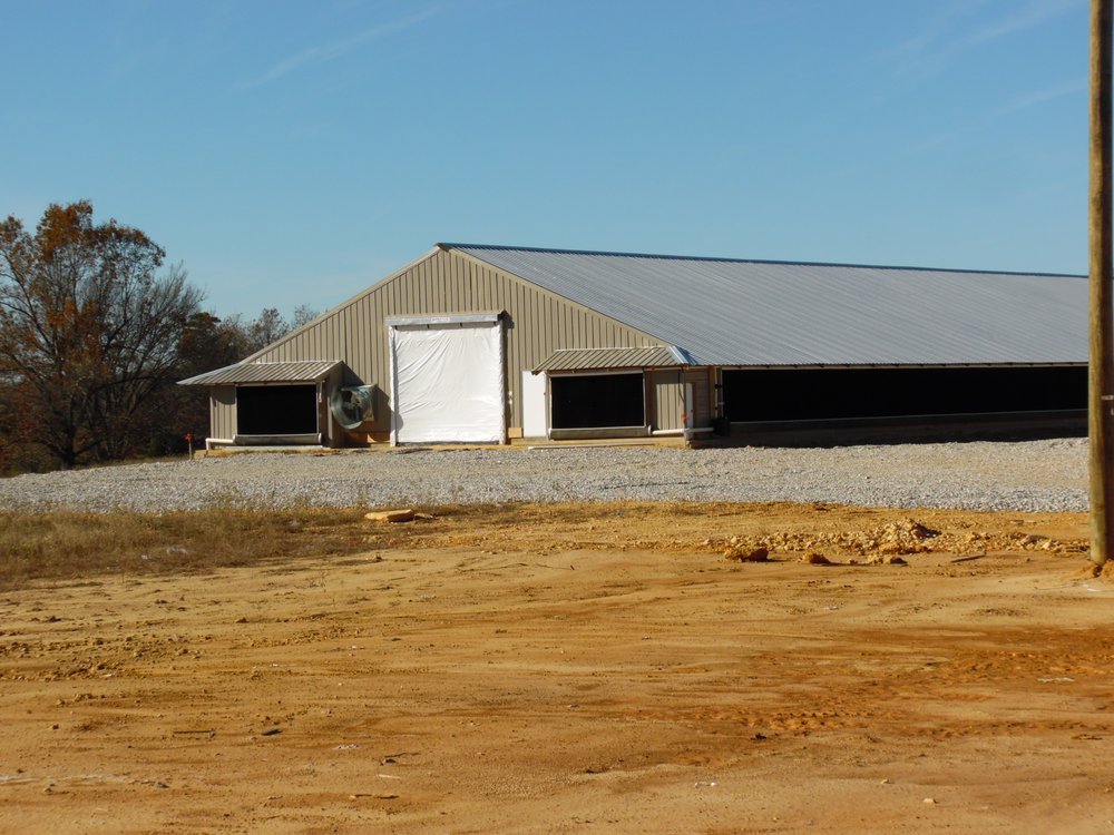 STRAWBERRY POULTRY SUPPLY Updated September 2024 10 Photos 512 S