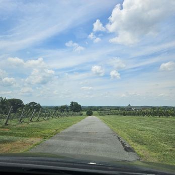 Rayson Winery & Vineyards - Wine Tasting Room Near Me - Mocksville, North Carolina Rayson Winery & Vineyards - Wine Tasting Room Near Me - Mocksville, North Carolina
