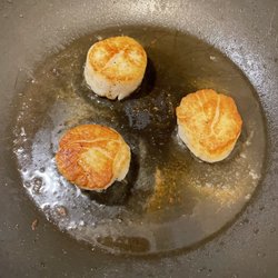 Tom & Terrys Seafood Market - Gorgeous, big scallops.