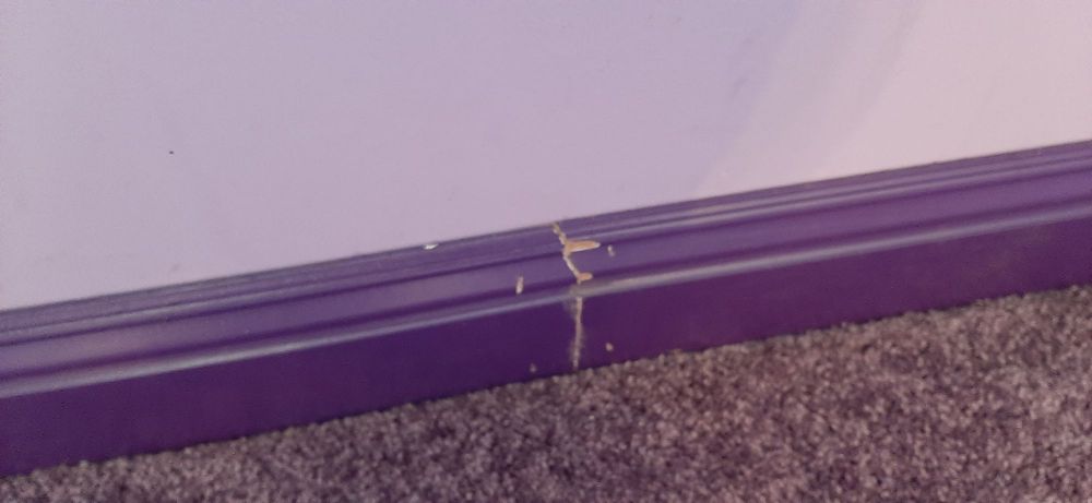 Slide of Ducks Roofing & Construction