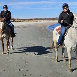 Newport Equestrian Academy