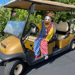 Happy Trails - 6 passenger Gas Golf Car for rentals, events and Tours