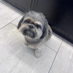I came here for a Diet Coke and ended up meeting Teddy!