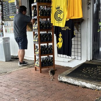 Cuban Coffee Queen Waterfront - Coffee & Tea Near Me - Key West, Florida Cuban Coffee Queen Waterfront - Coffee & Tea Near Me - Key West, Florida