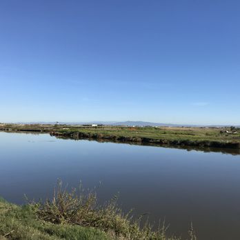 Pischera Pontis - Seafood Near Me - Cabras, Oregon