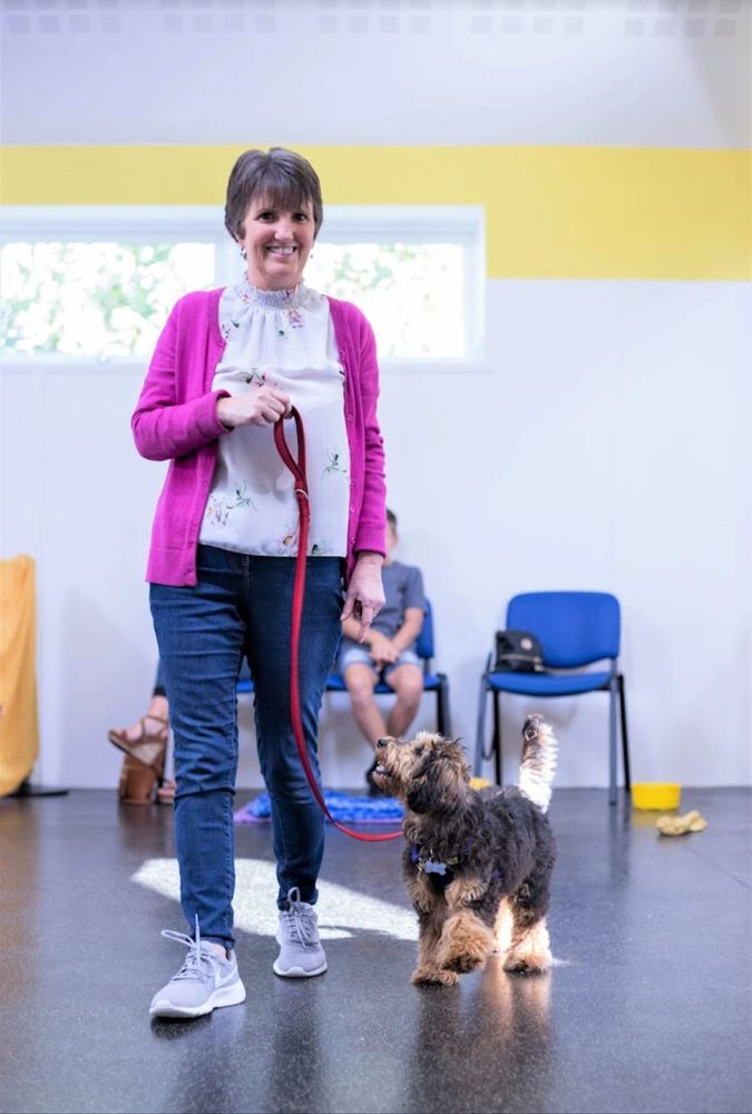 TRAIN A PUPPY Updated July 2024 44 NEW HUCKNALL WAYE, Huthwaite