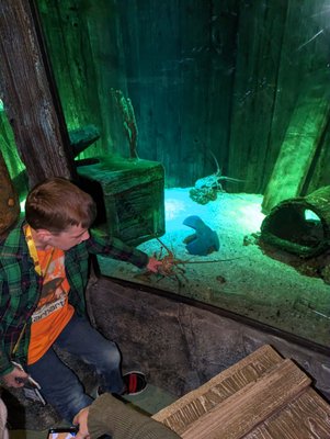 SEA LIFE San Antonio by null