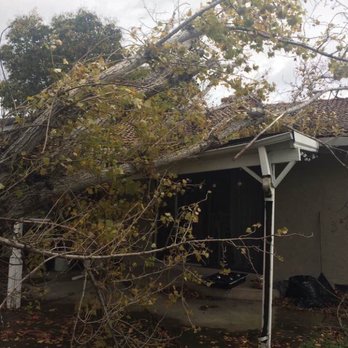 Watson Brothers Tree Care - Before. Tree fell on roof during storm. - Tree Services Near Me Watson Brothers Tree Care - Before. Tree fell on roof during storm. - Tree Services Near Me