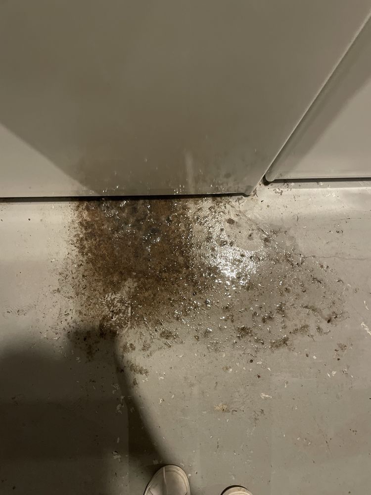 Slide of Roto-Rooter Plumbing & Water Cleanup