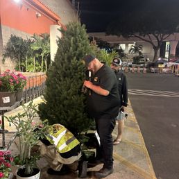 Christmas Tree