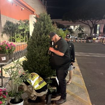The Home Depot - Christmas Tree - Hardware Stores Near Me - Pearl City, Hawaii