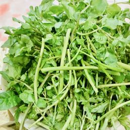 Watercress Watercress