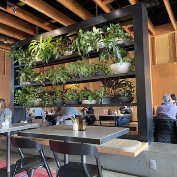 Five5eeds - Coffee & Tea Near Me - Park City, Utah