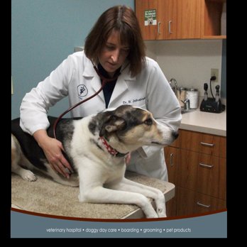 Harmony Pet Clinic - The best of everything for lifelong health. - Veterinarians Near Me - Waukesha, Wisconsin Harmony Pet Clinic - The best of everything for lifelong health. - Veterinarians Near Me - Waukesha, Wisconsin