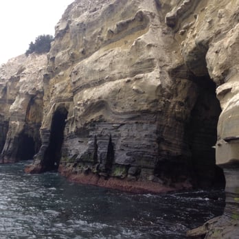 La Jolla - The sea caves - Beaches Near Me - San Diego, California La Jolla - The sea caves - Beaches Near Me - San Diego, California