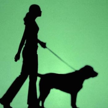 The Dog Walker CA - The Dog Walker - Dog Walkers Near Me - Huntington Beach, California The Dog Walker CA - The Dog Walker - Dog Walkers Near Me - Huntington Beach, California