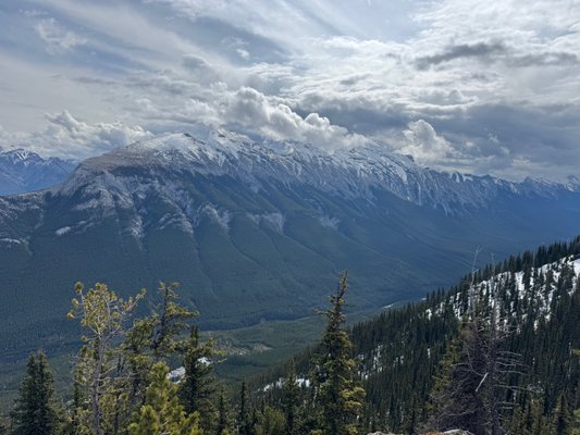 Sulphur Mountain by null