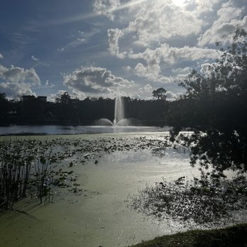 Lake Lily Park - Lake view - Parks Near Me - Maitland, Florida Lake Lily Park - Lake view - Parks Near Me - Maitland, Florida