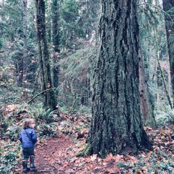 Burton Acres Park